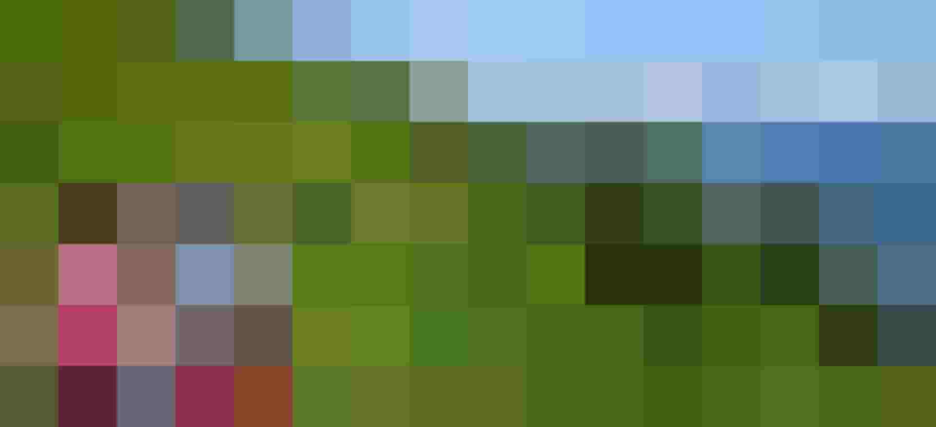 LC Zell am See (252) - Lions hilft schnell und unbürokratisch